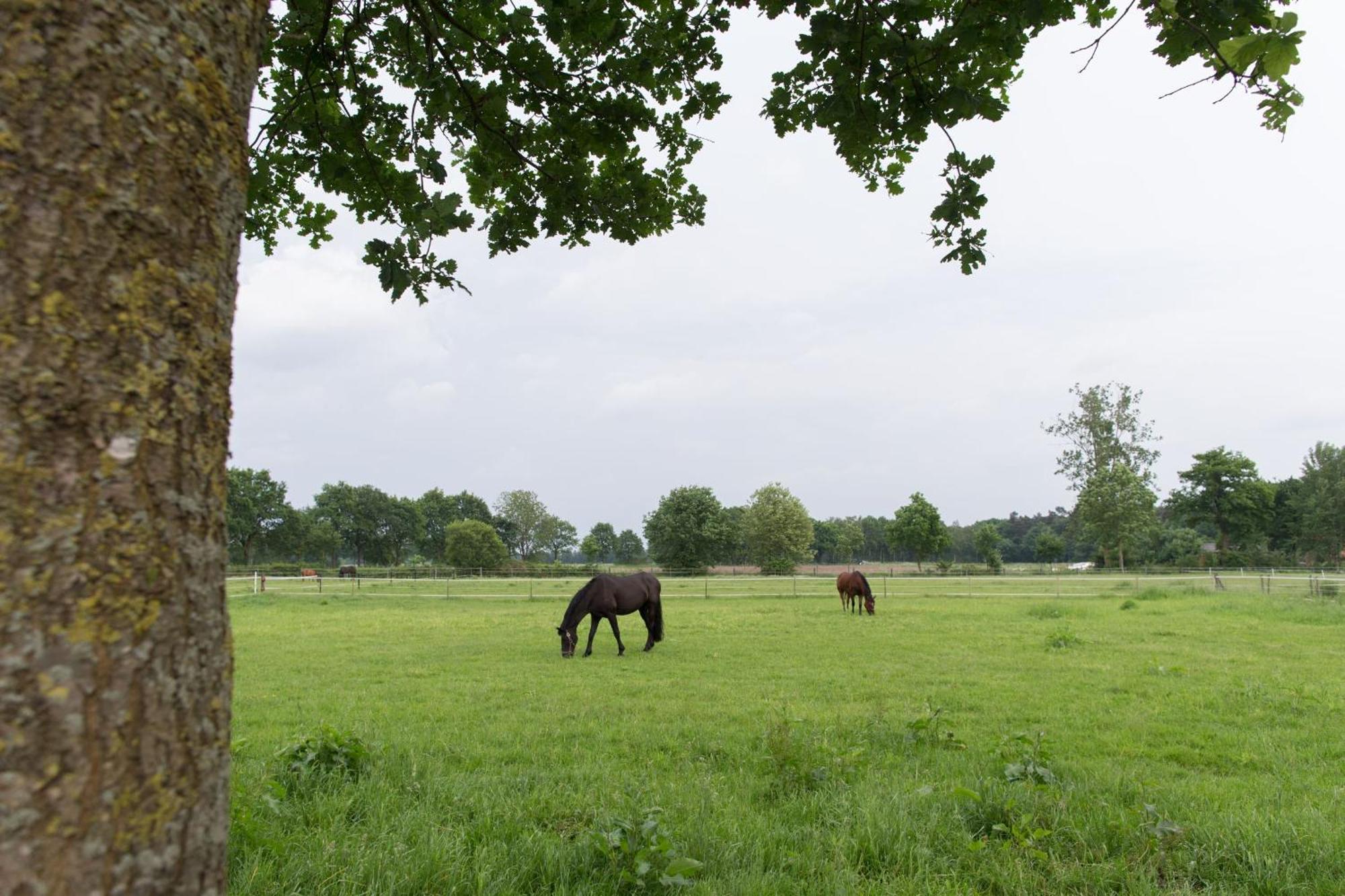 Landhuus Laurenz Gronau  Buitenkant foto