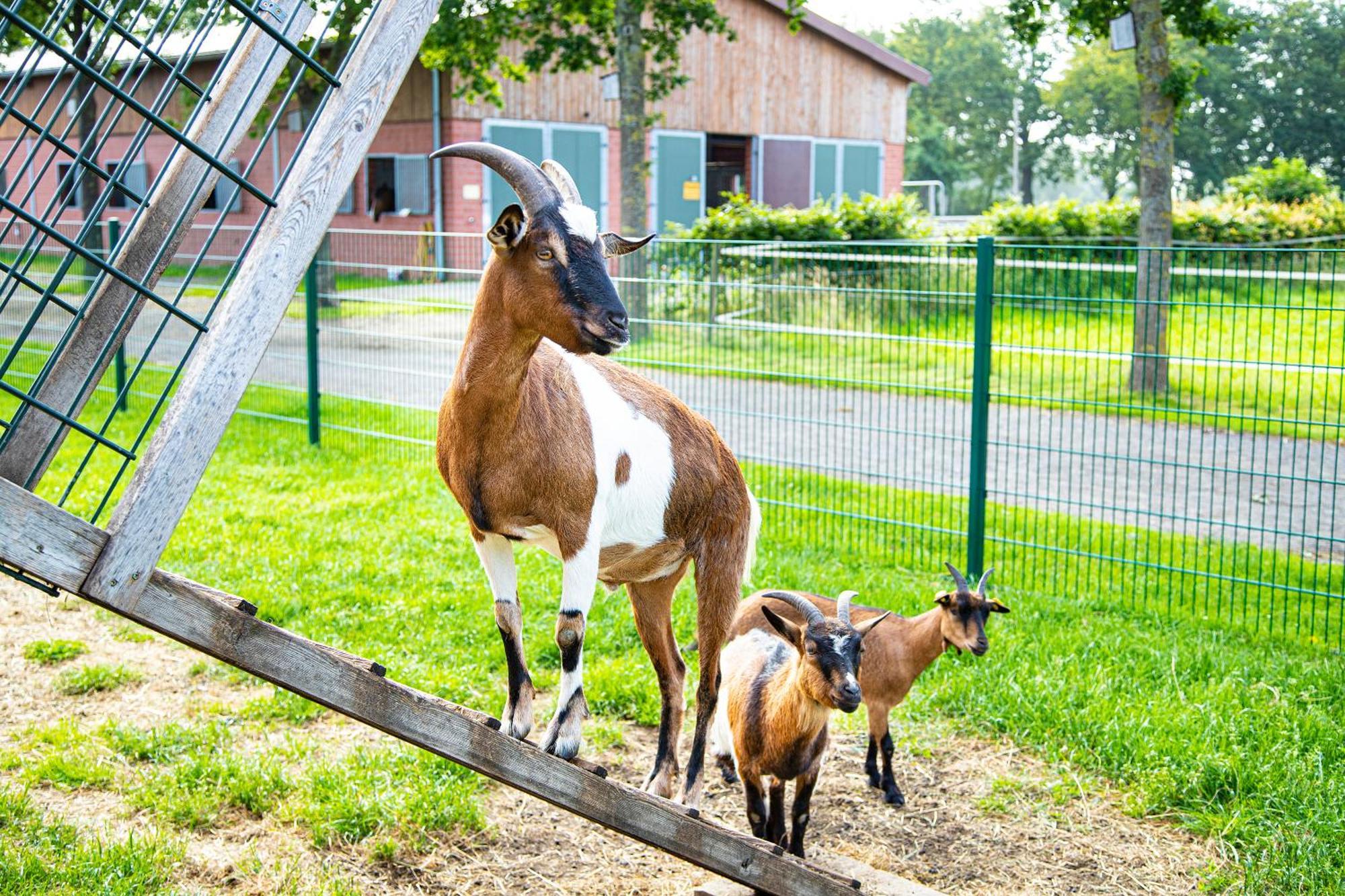 Landhuus Laurenz Gronau  Buitenkant foto